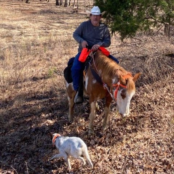Meet your Posher, Steven - Picture 1 of 1